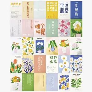 [하프클럽/]엽서 감성 식물 예쁜 세트 촬영 인테리어