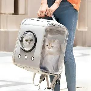 퍼피허그 클리어펫 투명 우주선 강아지 백팩 산책 이동 가방 고양이 애견 기내용 컨넬 배낭 외출 여행용