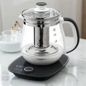 열탕기 전기 차탕기 물 끓이는 홍삼 달임기 가정용 강화 유리 약탕기 1.7L