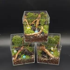 테라리움 키트 큐브형 비단 이끼 키우기 세트(유목 선택)