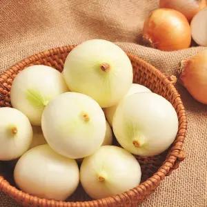 꼼꼼선별 25년산 무안 깐양파 3kg(특 270g이상)