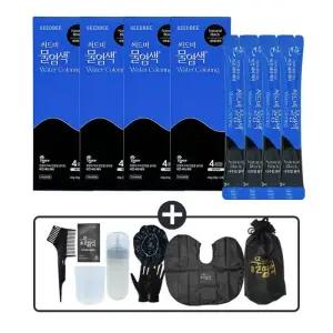씨드비 물염색 시즌2 프리미엄 새치 커버 내추럴 블랙 4회분x4박스+염색도구