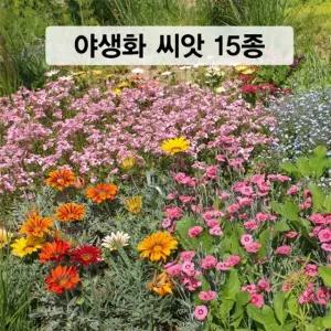 야생화씨앗 혼합종자 야생화 15종 모음 100g 소포장 혼합꽃 꽃씨앗 허브(AS)