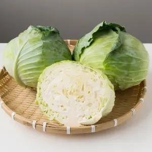 국내산 양배추 10kg내외(4-8통) 섬유소가 풍부한 아삭다른 건강채소