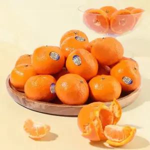 캘리포니아 고당도 만다린 5kg(75-100과 내외)