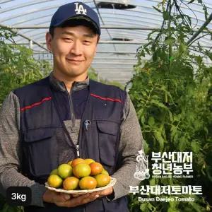 [NS홈쇼핑]부산 햇 대저토마토 3kg[35733923]