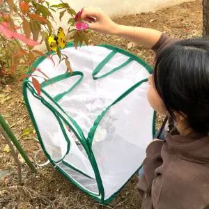 나비 곤충채집 키우기 관찰망 중