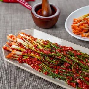 HACCP인증 전라도김치 담양 죽향 프리미엄 파 김치 2kg