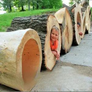 일체형벌통 양봉벌통 채밀기 토종벌통 토종벌집