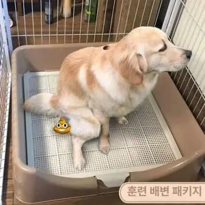 대형견배변판 특대형 강아지 화장실 배변판 소변 특대호 연한 갈색 30kg 이하 적합