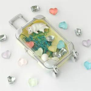 미니 캐리어 케이스 소품 보관함 액세서리 정리함 간식 수납함 파우치 여행