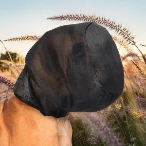 개를 위한 폭스테일 마스크(XL) 필드 네트 가드 개 보호 후드 가시 바위 곤충을 방지하는 페이스 하이킹