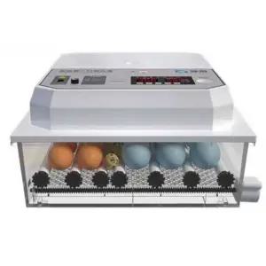 자동 부화기 닭 거위 인큐베이터 병아리 오리 키우기