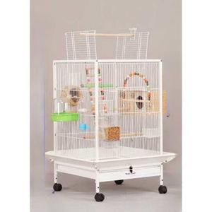 대형 새장 날림장 앵무새 사랑 실내 큐 3단 소형 횟대 코뉴어 전면 스텐 투명 빌라