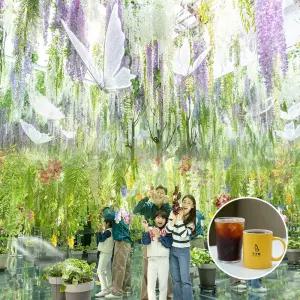 [경기] 가평 베고니아 새정원 커피PKG/동물원/테마파크/가평여행/가족나들이/아이와가볼만한곳/아이와함께