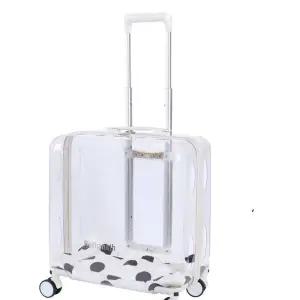 반려동물 공주 이동가방 애견 하우스 강아지 고양이 실내복