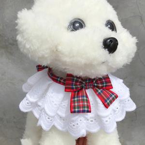 반려묘 반려견 전용옷 고양이옷 새끼 리트리버 화동 중절 겨울 양털 포인형