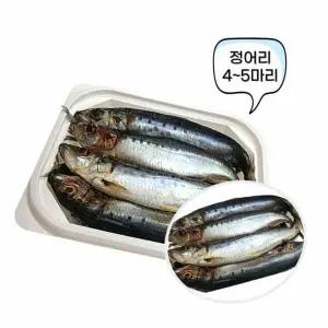 정어리 텐빈 갈치 낚시 미끼 싱싱