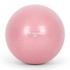 짐볼 짐볼 55cm (와일드 핑크) 마사지볼 마사지짐볼