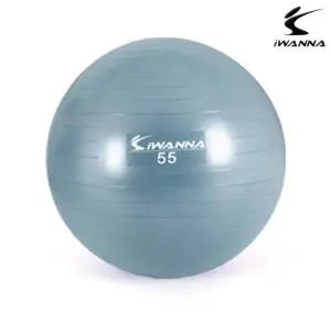 짐볼 55cm (더스티블루)