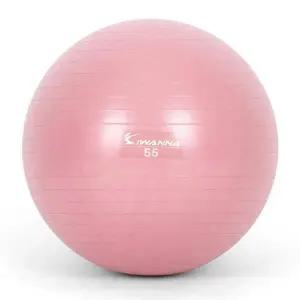 짐볼 짐볼 55cm (와일드 핑크) 마사지볼 마사지짐볼