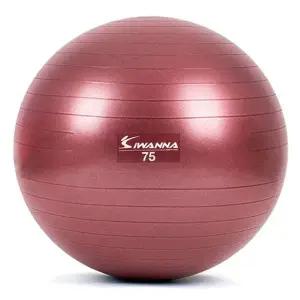 짐볼 짐볼 75cm (루비 와인) 마사지볼 마사지짐볼