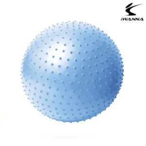 마사지 짐볼 65cm (알라스칸블루)