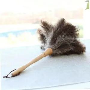 가정먼지떨이 페더브러시 소프트 위생 먼지클리너 클린