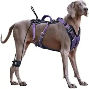 대형견을 위한 ANAFNI 노 풀 도그 하네스 손잡이가 있는 헤비 듀티 전술 쉬운 제어 및 훈련 더 나은 목줄