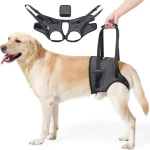 반려견 트 하네스 대형견용 고령의 부상성 관절염 장애견을 위한 조절식 뒷다리 지지 슬링 이동성 및 재활