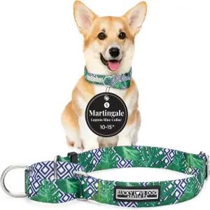 럭키 러브 독 마팅게일 칼라 소형견을 위한 프리미엄 노 슬립 휘펫 그레이하운드 등(소형 블루 라구나)에