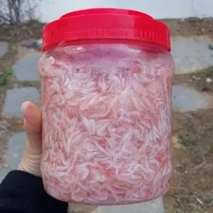신안 새우젓 1kg 신안 새우 오젓 김장 새우 젓 오젓 오젖 생새우 젓 새우 오젓 김장용새우 젓 참새우젓