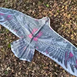 새퇴치기 조류퇴치기 새쫓는연 리연 인기템 110cm 연날리기 새쫓는 독수 프리미엄