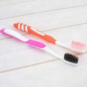 치솔 여행용 1P 그린라이브 칫솔 미세모