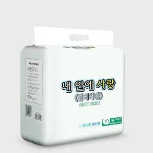 성인용 겉기저귀 중형(M) 10매(1팩) 노인 요실금 간병용 뽀송뽀송한 어르신용 팬티 요양원 가성비 저기 실