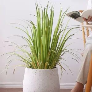 원목 이동식 화분받침 바퀴달린 거실 받침대 화분 트레이