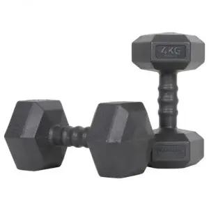 아이워너 근력 덤벨 맨즈 육각 아령 세트 4kg 2개 가성비 헬스 홈짐 4kg(2개입)