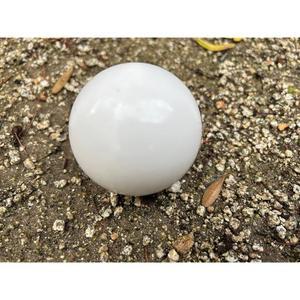 보체볼 구매 목록 - 프리미엄 품질, 공식 토너먼트 등급 팔리노 또는 팔리나 포 레귤레이션 사이즈 60mm 흰색 100, 107 110mm 보체볼과 함께 사용