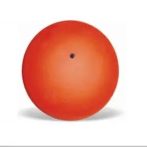 다우리 NH22GY94 포환 6.25kg 연습공 육상 포환던지기 포환공 투포한 실내용포한