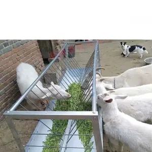 동물 여물통 목장 염소 먹이통 여물통 축사 농장 먹이통
