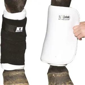 캐셸 노 보우 붕대 랩 16