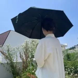 UV차단 양산겸용 암막 자동 양우산 그린