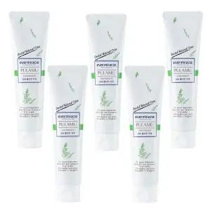 EM플라무치약(5개) 랍슨유통