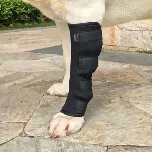 강아지 슬개골 보호대 애완견 다리 보호용 L 사이즈 펫츠런