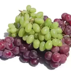 [농협6번] 청포도 크림슨 거봉 사파이어 블랙포도 3kg 선택