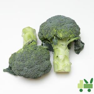 브로콜리 8Kg (특)