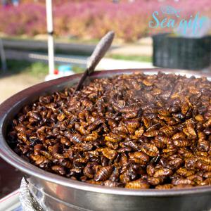 냉동 번데기 4kg 주전부리 간식 안주