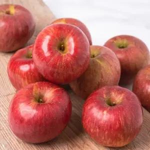 달콤한 가정용 부사 사과 10kg 중대과