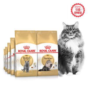 로얄캐닌 고양이사료 묘종별 건식 베스트 4kg 10kg  브리티쉬숏헤어 노르웨이숲 랙돌 샴 뱅갈 페르시안 키