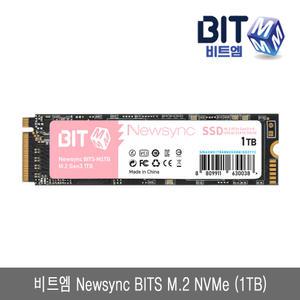 비트엠 Newsync BITS M.2 NVMe (1TB) TLC 3D 낸드플래시 PCle GEN3x4 SSD 1테라 내장형